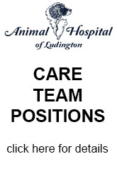 Animal Hospital of Ludington